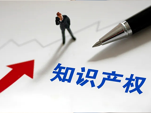 专利评价报告